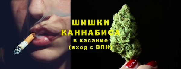 ECSTASY Богородицк