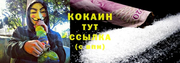 ECSTASY Богородицк